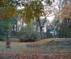 Park Lubomirskich w Białymstoku jesienią 