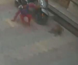 Małpa zaatakowała dziecko na ulicy! Nikt nie reagował, chłopiec ranny
