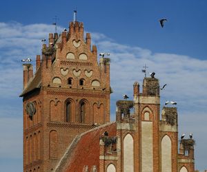 Malutka wieś leży na Szlaku Bocianich Gniazd. Znajduje się tu jedna z większych kolonii bociana