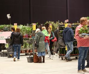 Festiwal roślin odbywa się w Katowicach