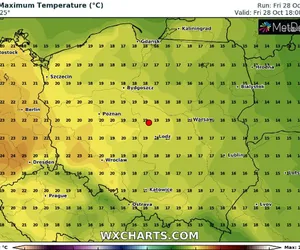 Eksplozja ciepła w weekend. Będzie rekord temperatury w październiku? 