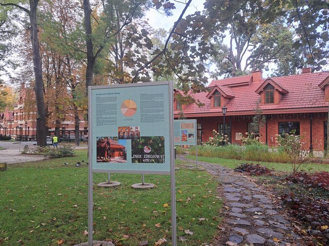 Park Zdrojowy w Krakowie