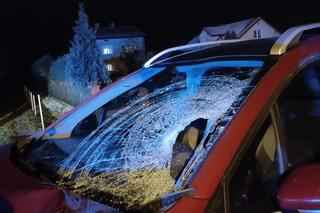 Śmiertelny wypadek pod Zamościem! Kobieta z peugeota wjechała w 69-latka [ZDJĘCIA]