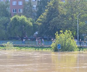 Tak wygląda Oława w czasach powodzi 2024 roku. Poruszający materiał