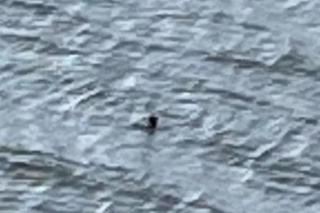 Potwór z Loch Ness na zdjęciu z kwietnia 2024! Teraz mamy już pewność