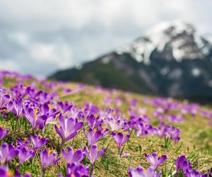 To najładniejsza wieś w Małopolsce
