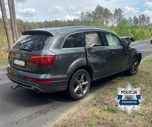 Kierowca audi potrącił łosia. Pechowe zderzenie zakończyło się śmiercią