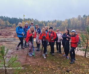 Kijowe Lejdis zapraszają do wspólnych spacerów