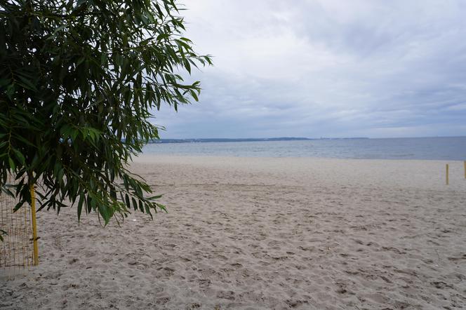 Jedyne takie miejsce na plażowej mapie Gdańska. Właściciele psów powinni o nim wiedzieć!