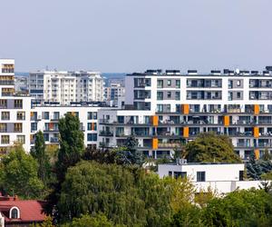Ocena energetyczna stolarki otworowej. Znaczenie w procesie termomodernizacji