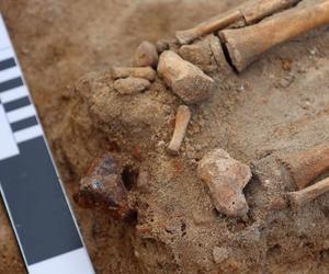 Kolejny intrygujący grób naukowcy odkryli w Pniu pod Bydgoszczą. To tzw. pochówki antywampiryczne [GALERIA]