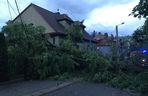 Powalone drzewa, zalania, wstrzymany ruch tramwajów: dramatyczny bilans orkanu nad Śląskiem