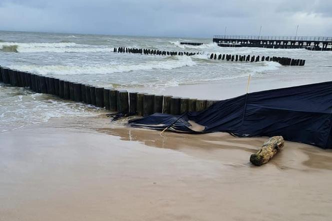 PRZERAŻAJĄCE odkrycie na plaży w Kołobrzegu! Policjanci byli wstrząśnięci! Zwłoki w stanie totalnego ROZKŁADU 