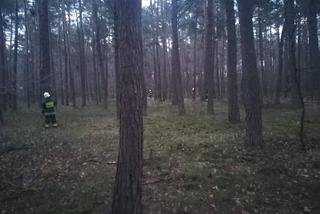 ZWŁOKI starszego mężczyzny znalezione w lesie! Był poszukiwany przez rodzinę [ZDJĘCIA]
