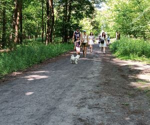 II Spacer Śladami Kliforda w Grudziądzu