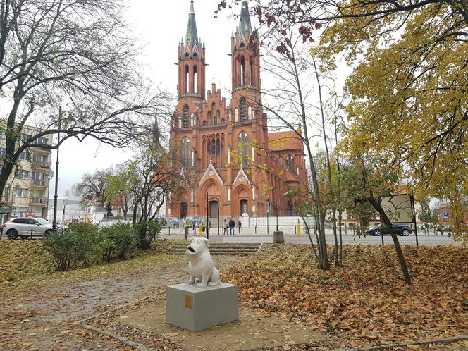 Tak prezentuje się rzeźba psa Kawelina po renowacji