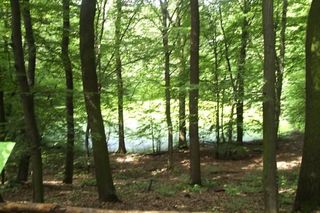 7. Rezerwat Meteoryt Morasko