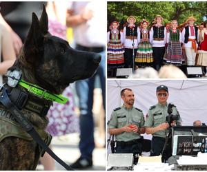 Pokazy tańca i piknik patriotyczny na pl. Litewskim. Tak Lublin świętuje 3 maja. Zobacz zdjęcia! 