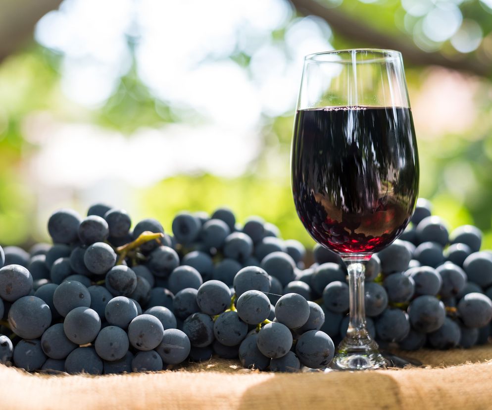 Wino z ogrodowych winogron – łatwy przepis dla początkujących winiarzy
