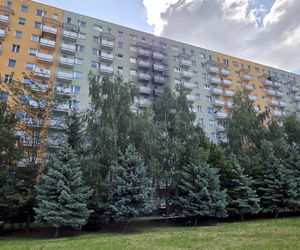  Przyjaciele żegnają Julię