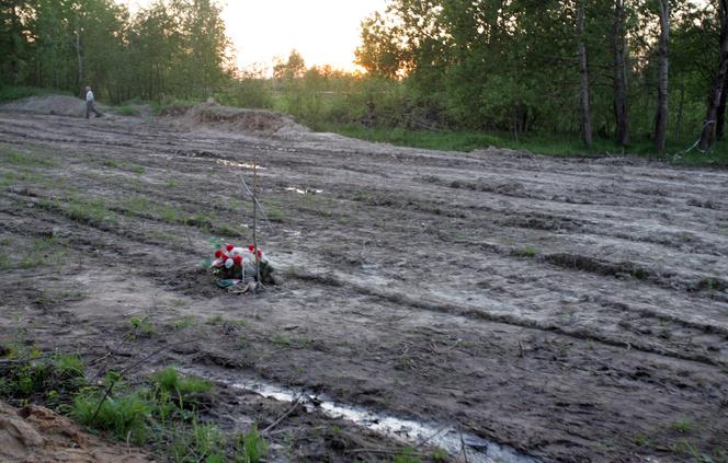 Smoleńsk 2010. Zdjęcia z miejsca katastrofy prezydenckiego samolotu