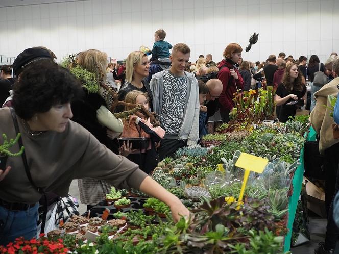 Egzotyczne zwierzęta powracają do Hali Expo! Zobaczycie je już w marcu