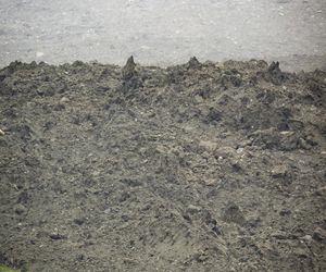 Szwajcaria. Kamienna lawina pogrzebała alpejską wioskę, gdy oderwał się ogromny fragment lodowca