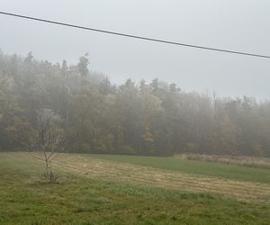 Najpiękniejsza wieś w Małopolsce zachwyca także jesienią. Leży na Szlaku Orlich Gniazd