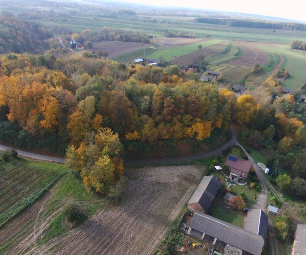 Ruszą prace przy grodzisku w Leszczynie. Archeolodzy zbadają ten teren