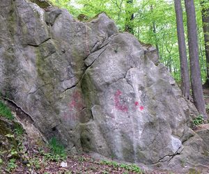 Rezerwat Grapa w Żywcu