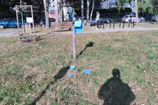 fot. Miłosz Piotrowski