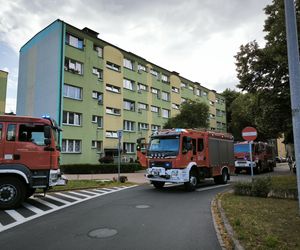 Zadymienie