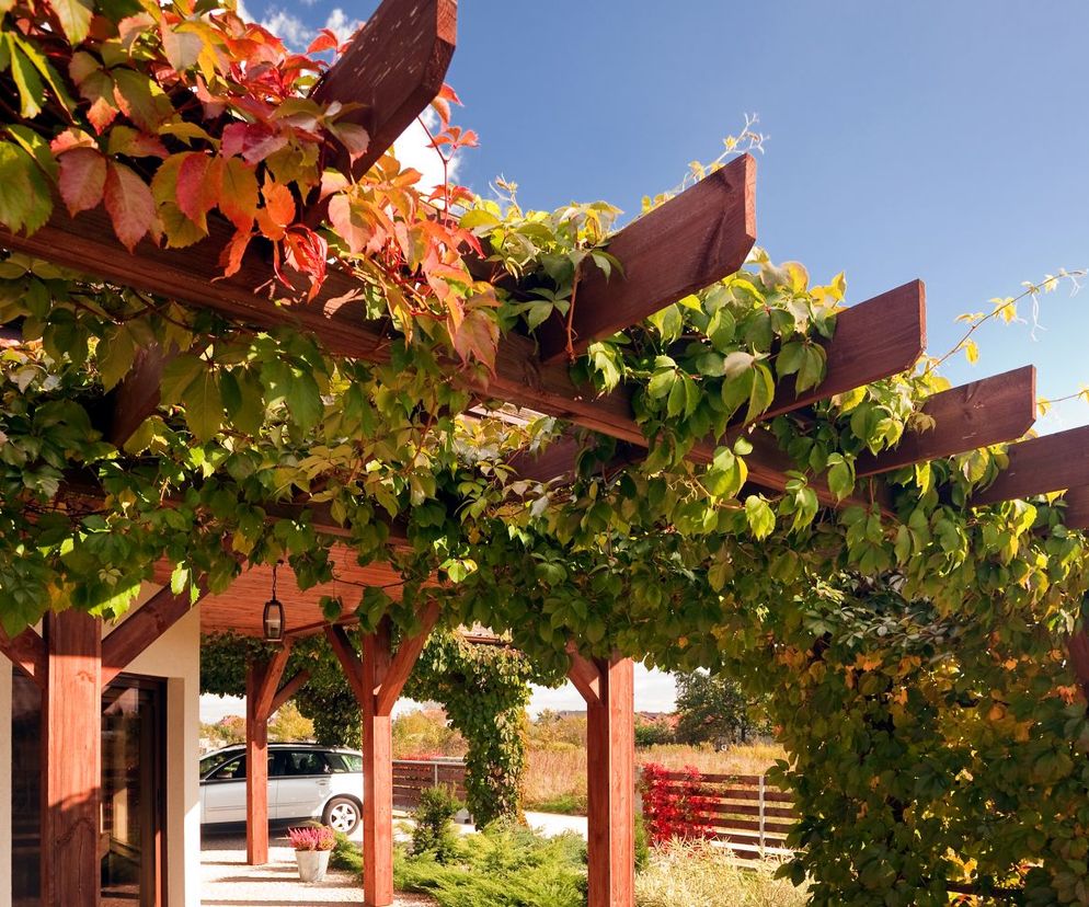 Pergola