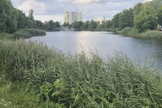 Zielona perła Bartodziejów. Odkryj uroki bydgoskiego Balatonu