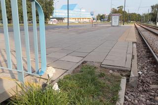 Znicz i biała różyczka. Poruszający widok w miejscu śmierci czterolatka na ul. Jagiellońskiej