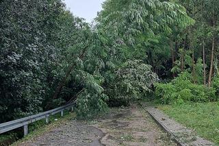 Potężne nawałnice przeszły przez powiaty brzeski i bocheński
