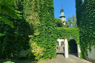 Urokliwe podwórka Starego Miasta w Zamościu