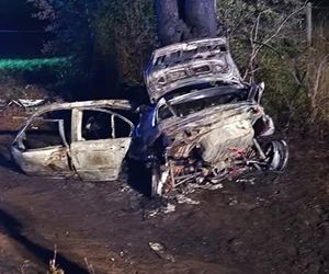 BMW uderzyło w drzewo i zapaliło się, Zginęła jedna osoba!