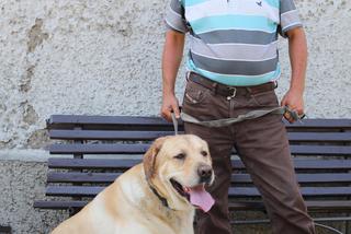 SNAJPER CHCIAŁ MNIE ROZSTRZELAĆ.