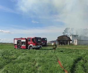 Ogromny pożar pod Braniewem. 1000 balotów słomy w ogniu [ZDJĘCIA]