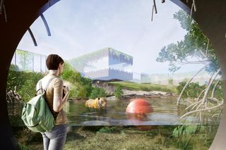 Wybieg dla tygrysa bengalskiego w Łącznej