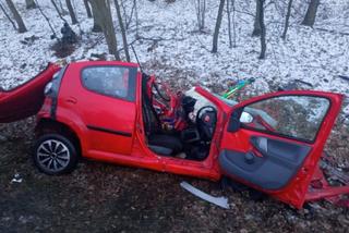 Śmiertelny wypadek w Parkowie. Dwie osoby nie żyją. 