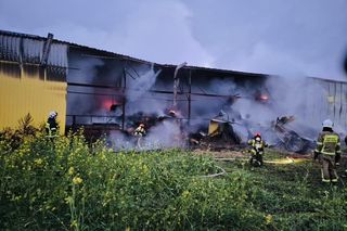 Pożar w Andrzejkach. Strażacy walczyli o uratowanie zwierząt i domu