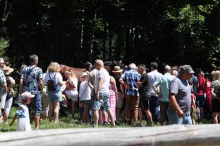  Jarmark koński w lubelskim skansenie przyciągnął tłumy 
