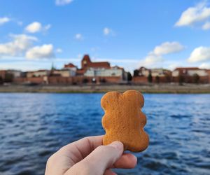 Pierniki na liście UNESCO. Duma w Toruniu