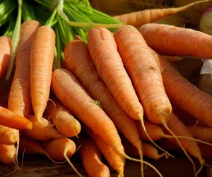 Warzywa z warszawskich działek nie do zjedzenia? Eksperci pokazali wyniki badań