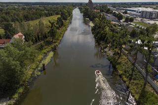 Katastrofa ekologiczna na Odrze 