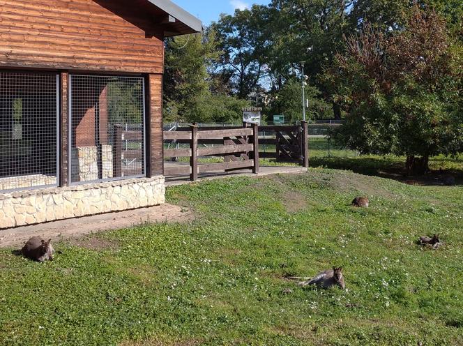 Ogród zoologiczny im. Stefana Milera w Zamościu