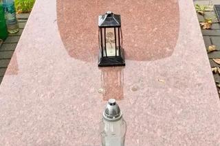 Katarzyna Łaniewska 