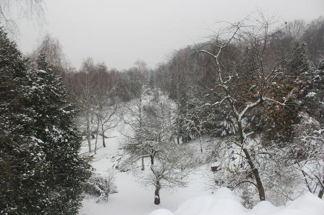 "Elka" w Parku Śląskim. Widok z góry